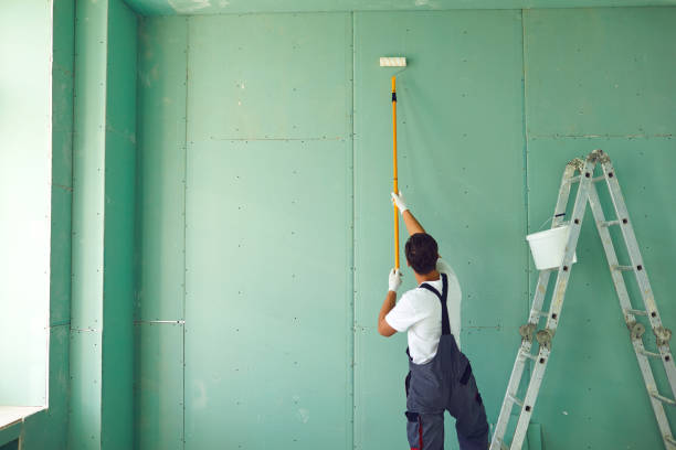 Best Mold Odor Removal Services  in Newburyport, MA