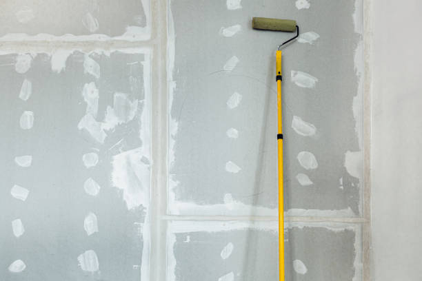 Trusted Newburyport, MA Mold Removal Experts