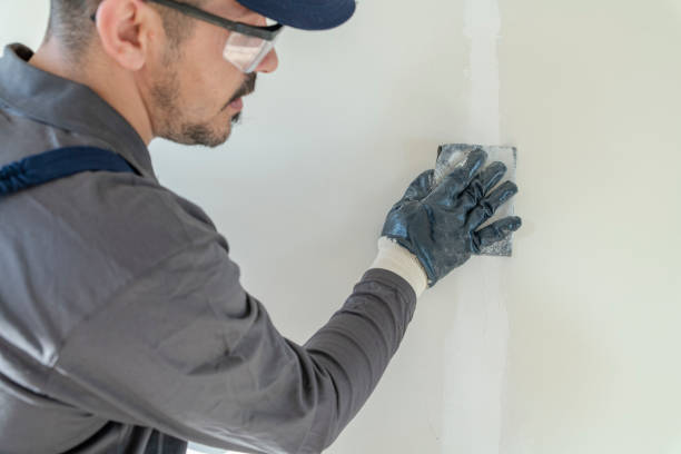 Best Forensic Mold Investigation  in Newburyport, MA